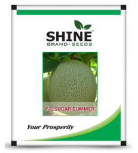 Muskmelon / Kharbooja Sugar Summer 25 grams